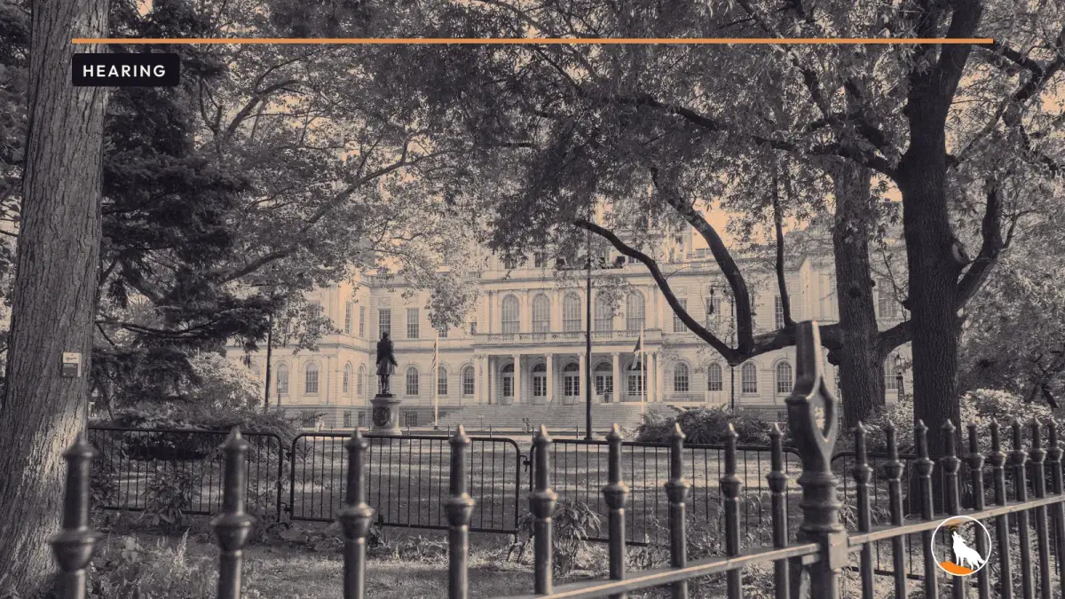 New York City Hall, graded navy and orange, with the wolf mark.