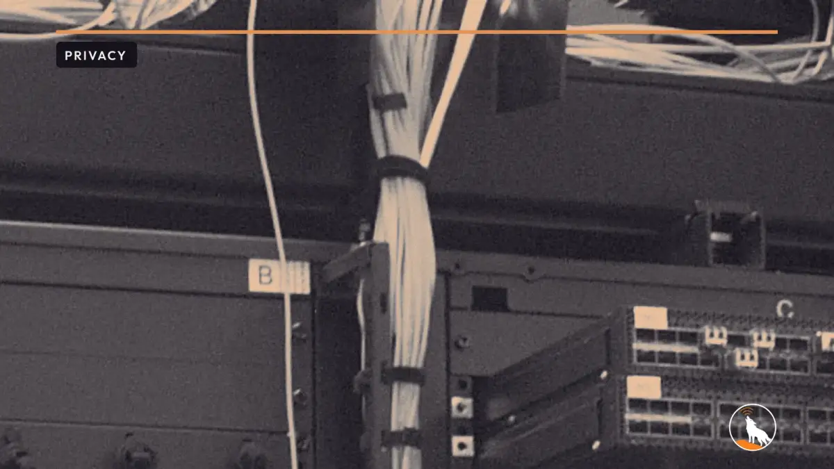 Network cables in a data center, graded navy and orange, with the wolf mark.