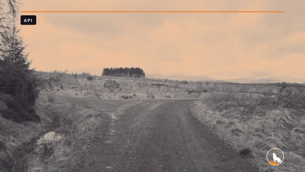 A gravel track through moorland that forks left and right, with a stand of conifers and low hills under a cloudy sky.